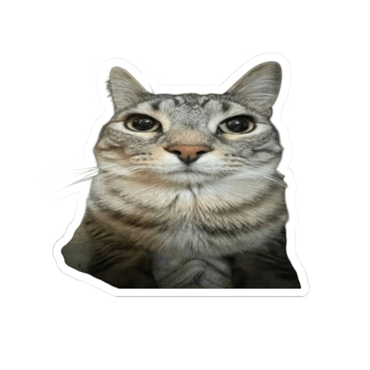 Traumatized Cat Sticker