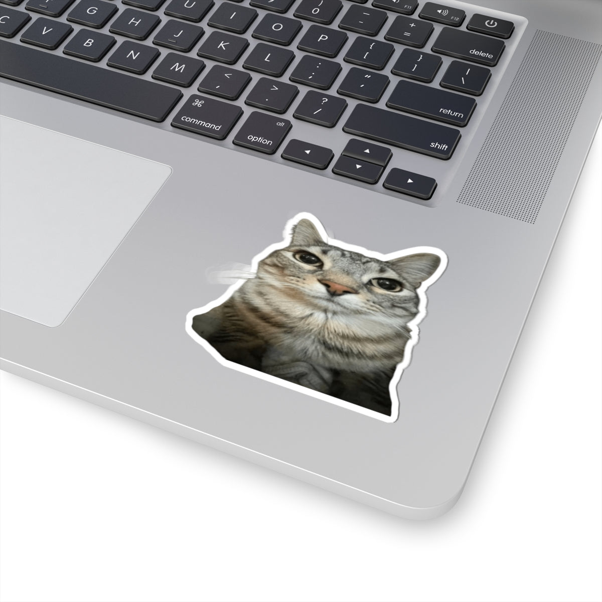 Traumatized Cat Sticker