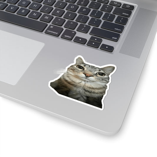 Traumatized Cat Sticker